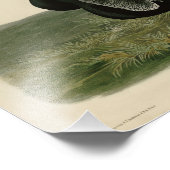 Zwarte cultuur, van de Amerikaanse vogels van Audu Foto Afdruk (Hoek)