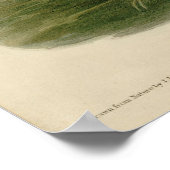 Zwarte cultuur, van de Amerikaanse vogels van Audu Poster (Hoek)