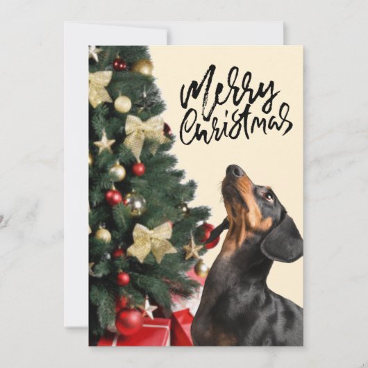 Zwarte Dachshund die op kerstmis kijkt Feestdagenkaart (Voorkant)