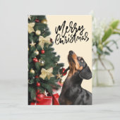 Zwarte Dachshund die op kerstmis kijkt Feestdagenkaart (Staand voorkant)