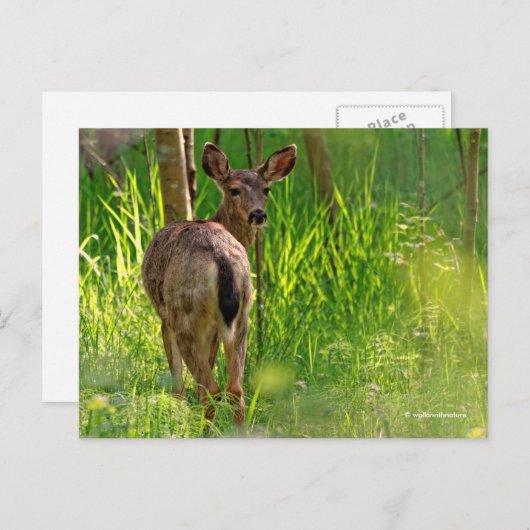 Zwarte Dailed Deer in het bos Briefkaart (Voorkant / Achterkant)