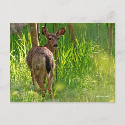 Zwarte Dailed Deer in het bos Briefkaart (Voorkant)