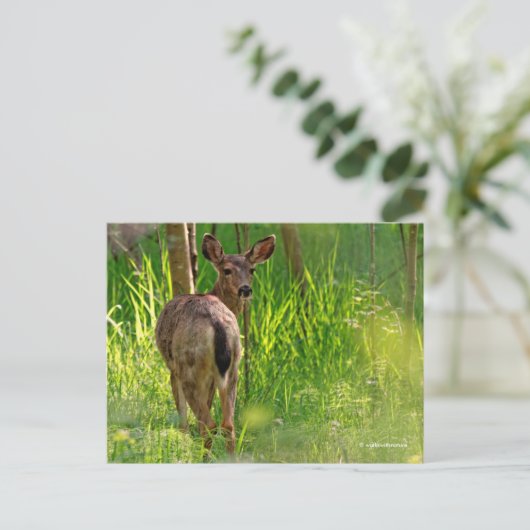 Zwarte Dailed Deer in het bos Briefkaart (Staand voorkant)