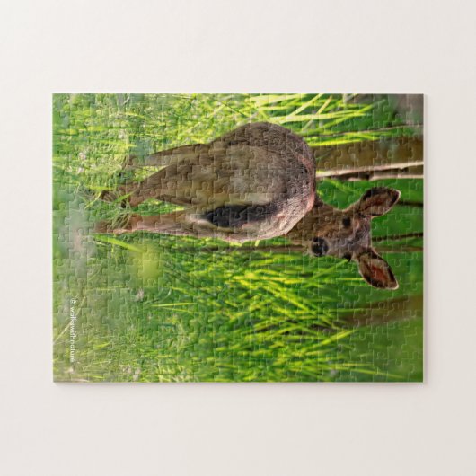 Zwarte Dailed Deer in het bos Legpuzzel (Horizontaal)