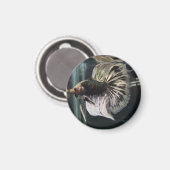 Zwarte Dalmatische Magneet (Voorkant / Achterkant)