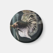 Zwarte Dalmatische Magneet (Voorkant)