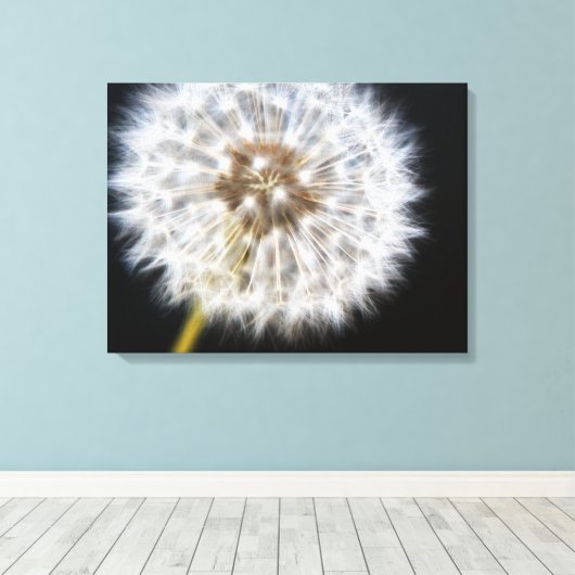 Zwarte Dandelion Canvas Afdruk (Insitu (Houten vloer))