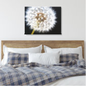Zwarte Dandelion Canvas Afdruk (Insitu (Slaapkamer))