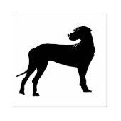 Zwarte Deen Hond Rubberstempel (Afrduk)