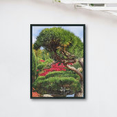 Zwarte dennen en rode Japanse esdoorn Perfect Poster