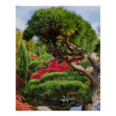 Zwarte dennen en rode Japanse esdoorn Perfect Poster (Voorkant)