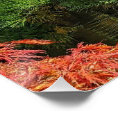 Zwarte dennen en rode Japanse esdoorn Perfect Poster (Hoek)