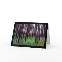 Zwarte dennen in een groen bos