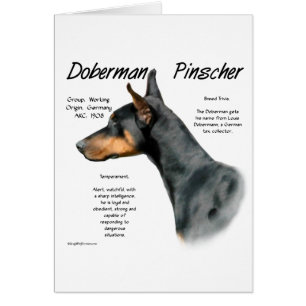 Zwarte Doberman Pinscher Geschiedenis