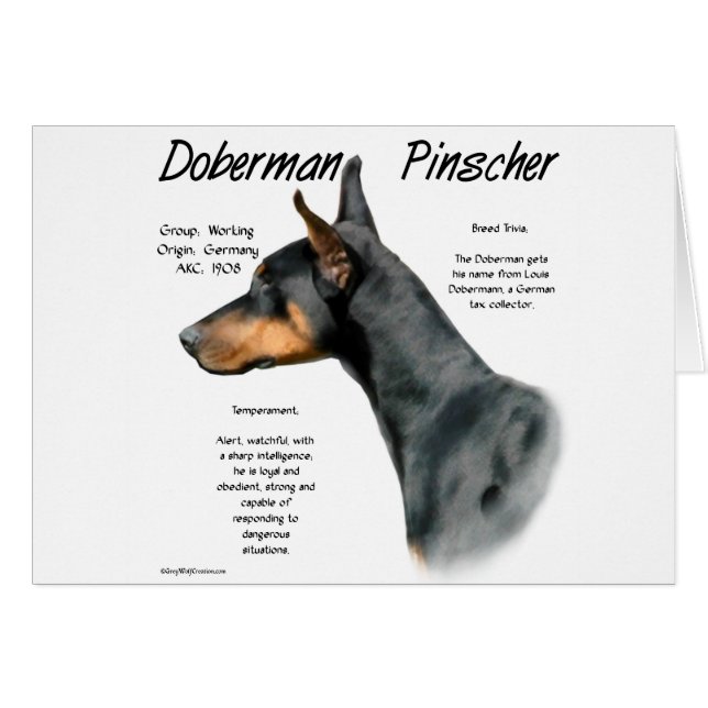 Zwarte Doberman Pinscher Geschiedenis (Voorkant Horizontaal)