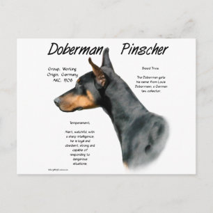 Zwarte Doberman Pinscher Geschiedenis Briefkaart