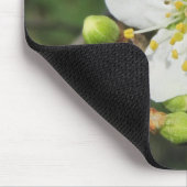 Zwarte doorn muismat (Hoek)