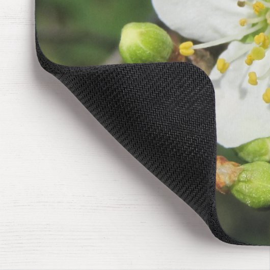 Zwarte doorn muismat (Hoek)