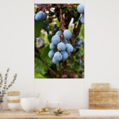 Zwarte doornvrucht poster (Keuken)