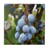 Zwarte doornvrucht tegeltje (Voorkant)