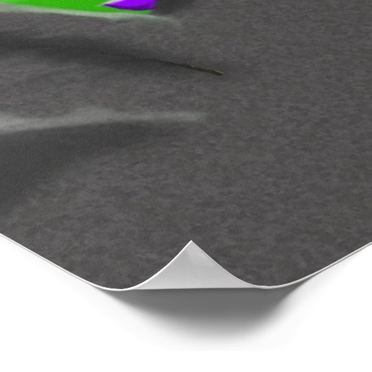 Zwarte draak poster (Hoek)