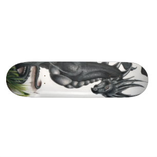 zwarte draak skateboard