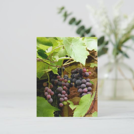 ZWARTE DRUIVEN BRIEFKAART (Staand voorkant)