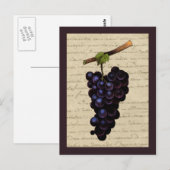 zwarte druiven briefkaart (Voorkant / Achterkant)