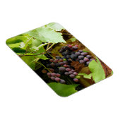 ZWARTE DRUIVEN MAGNEET (Rechterzijde)