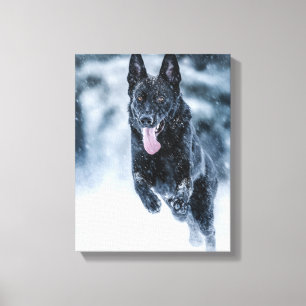 Zwarte Duitse herder in de sneeuw dekbedhoes Canvas Afdruk