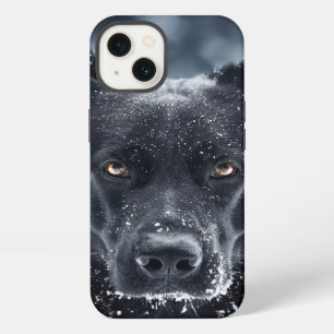 Zwarte Duitse Herder iPhone 13 Hoesje
