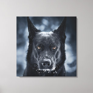 Zwarte Duitse Herdershond Canvas Afdruk