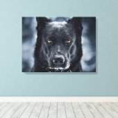 Zwarte Duitse Herdershond Canvas Afdruk (Insitu (Houten vloer))