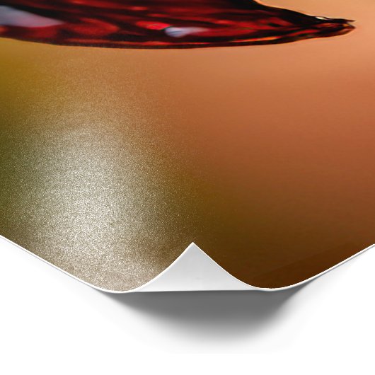 "Zwarte Duw" Daylily Foto Afdruk (Hoek)