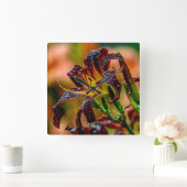 "Zwarte Duw" Daylily Vierkante Klok (Huis)