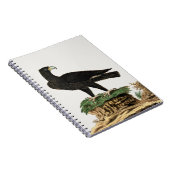 Zwarte Eagle van Verreaux | Illustratie wilde voge Notitieboek (Rechterzijde)