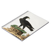 Zwarte Eagle van Verreaux | Illustratie wilde voge Notitieboek (Linkerzijde)