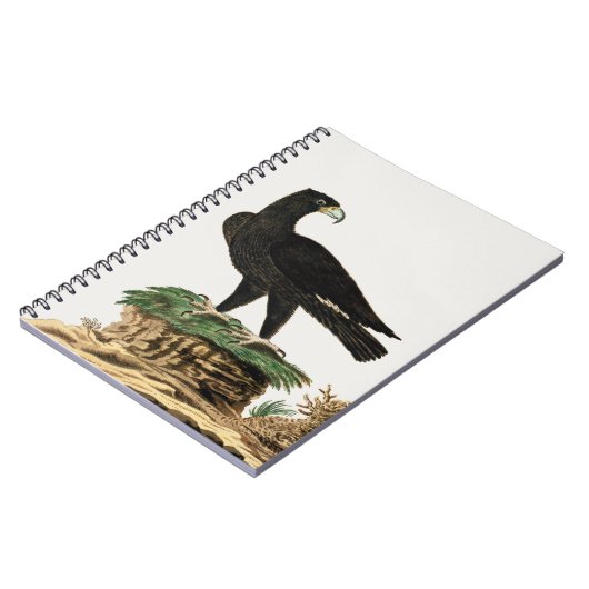 Zwarte Eagle van Verreaux | Illustratie wilde voge Notitieboek (Linkerzijde)