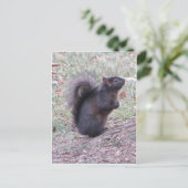 Zwarte eekhoorn briefkaart (Staand voorkant)