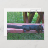 Zwarte eekhoorn briefkaart (Voorkant / Achterkant)