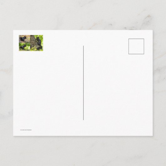 Zwarte eekhoorn collage briefkaart (Achterkant)