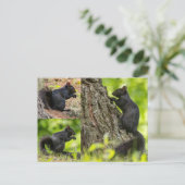 Zwarte eekhoorn collage briefkaart (Staand voorkant)