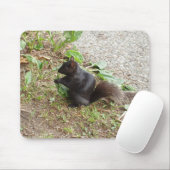 Zwarte eekhoorn muismat (Met muis)