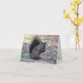 zwarte eekhoorn noot Kaart (Gele Bloem)