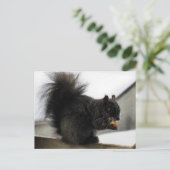 Zwarte eekhoorn op Balcony Eating Peanut in Winter Briefkaart (Staand voorkant)