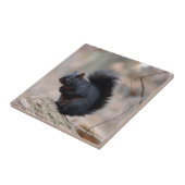 Zwarte eekhoorn tegeltje (Zijkant)