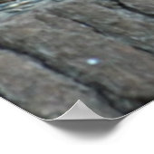 Zwarte eekhoornherfst Poster (Hoek)