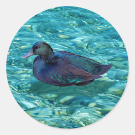 Zwarte eend - envelopstickers ronde sticker