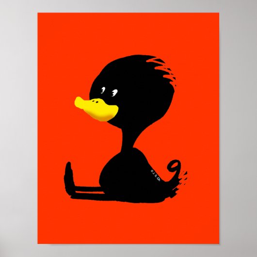 zwarte eend poster (Voorkant)