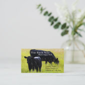 Zwarte eenhoevige Rundvee Grazing in het veld Visitekaartje (Staand voorkant)